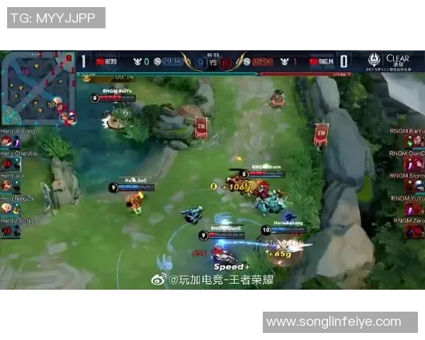 RNG在世界冠军杯中的战术表现分析与精彩点评