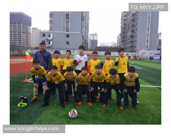 呈贡区足球发展现状与未来展望探讨及青少年培养策略分析